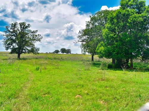 11.92 Acres in Caldwell County, TX : Luling : Caldwell County : Texas