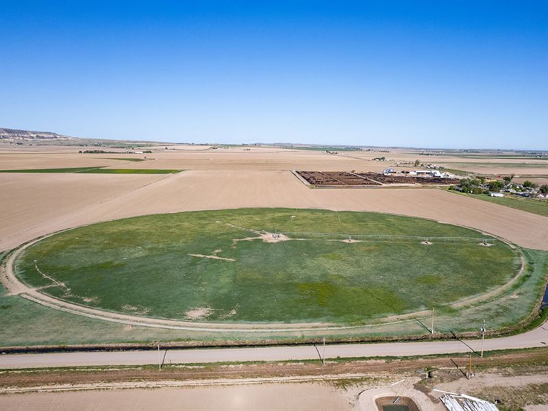 Legacy Feeders, Llc : Scottsbluff : Scotts Bluff County : Nebraska