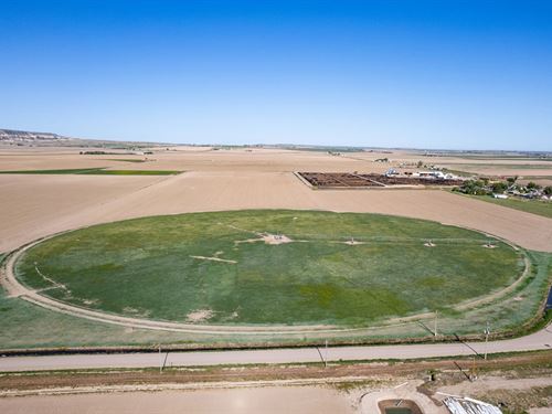 Legacy Feeders, Llc : Scottsbluff : Scotts Bluff County : Nebraska