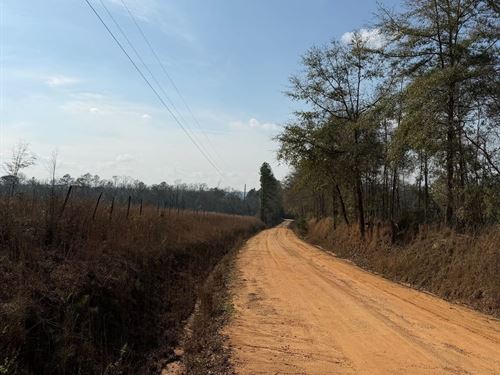 15 Acres Oak Grove Rd : Dozier : Covington County : Alabama
