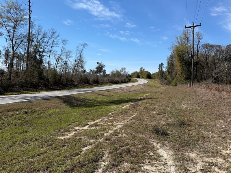 19 Acres Hwy 137 : Andalusia : Covington County : Alabama