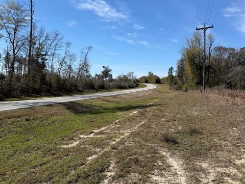 19 Acres Hwy 137 : Andalusia : Covington County : Alabama