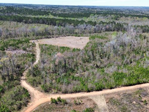 55 Acres Macon County, AL : Tuskegee : Macon County : Alabama