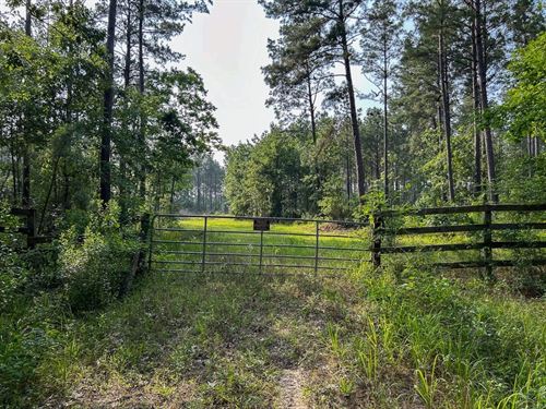 42 Acres, FM 2109 : Huntington : Angelina County : Texas
