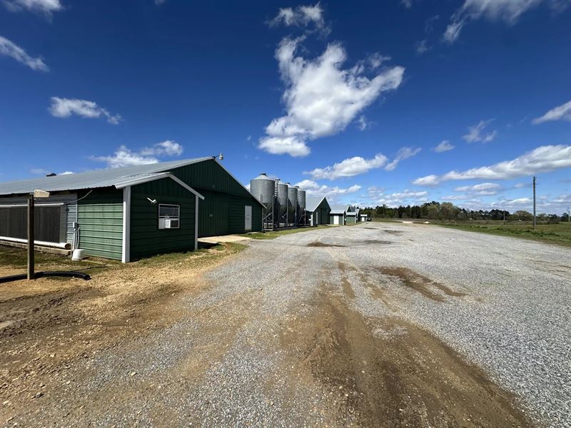 Silver Pine Broiler Farm : Magee : Simpson County : Mississippi