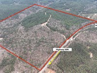 Hunting Land Near Tuscaloosa : Northport : Tuscaloosa County : Alabama