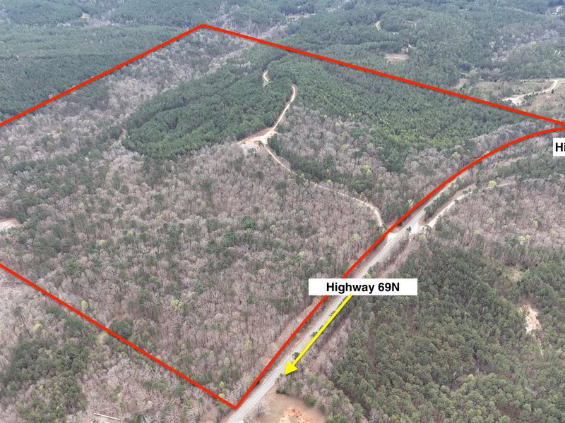 Hunting Land Near Tuscaloosa : Northport : Tuscaloosa County : Alabama