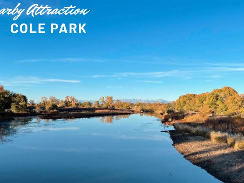 This Could Be The Best-Priced 5+ Ac : Mesita : Costilla County : Colorado