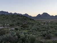 Desert Quiet. City Close. 5 Acres : Deming : Luna County : New Mexico