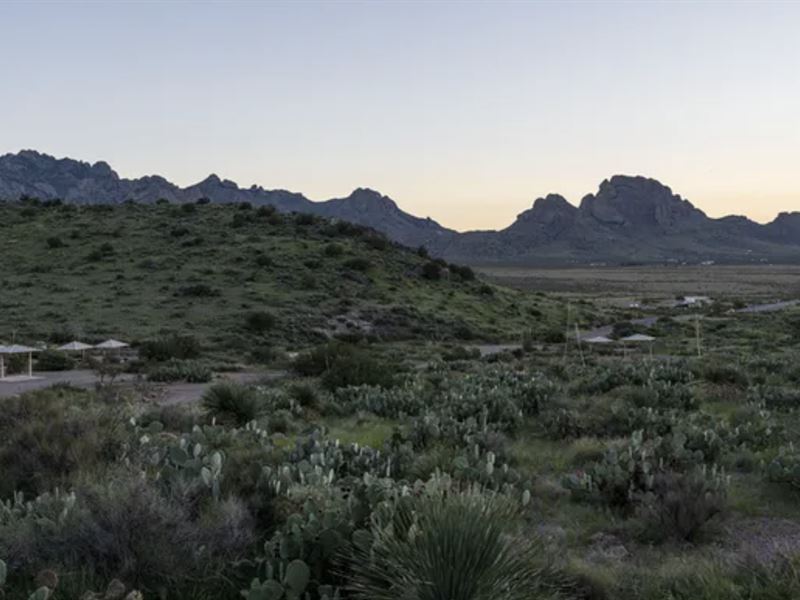 Desert Quiet. City Close. 5 Acres : Deming : Luna County : New Mexico