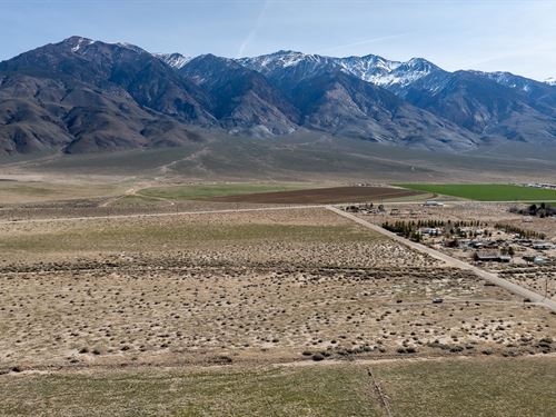 Hammil Valley Estate : Hammil : Mono County : California