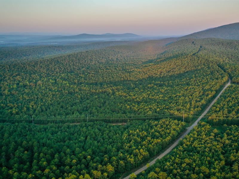 Mena Timber West : Waldron : Scott County : Arkansas