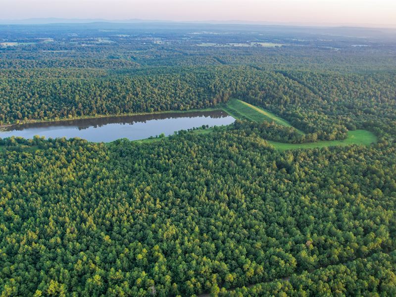 Mena Timber East : Waldron : Scott County : Arkansas