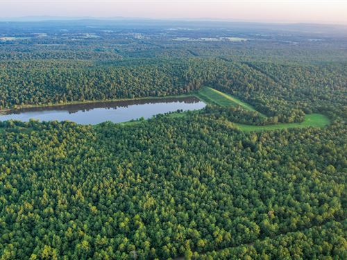 Mena Timber East : Waldron : Scott County : Arkansas