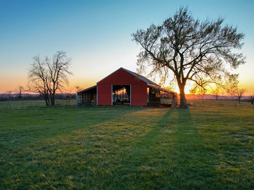Sunset Mountain Ranch : Prairie Grove : Washington County : Arkansas