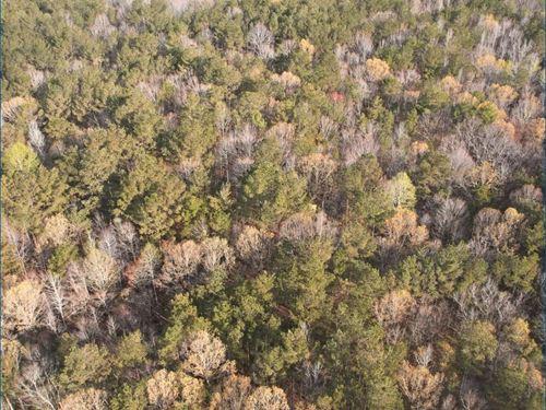 201 Acres in Attala County in McCoo : McCool : Attala County : Mississippi