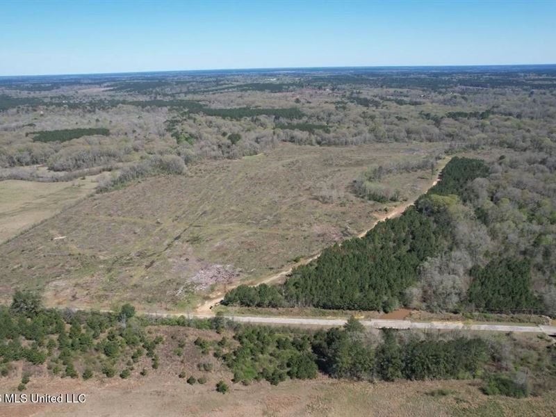 123 Acres Centreville MS on Chance : Centreville : Amite County : Mississippi
