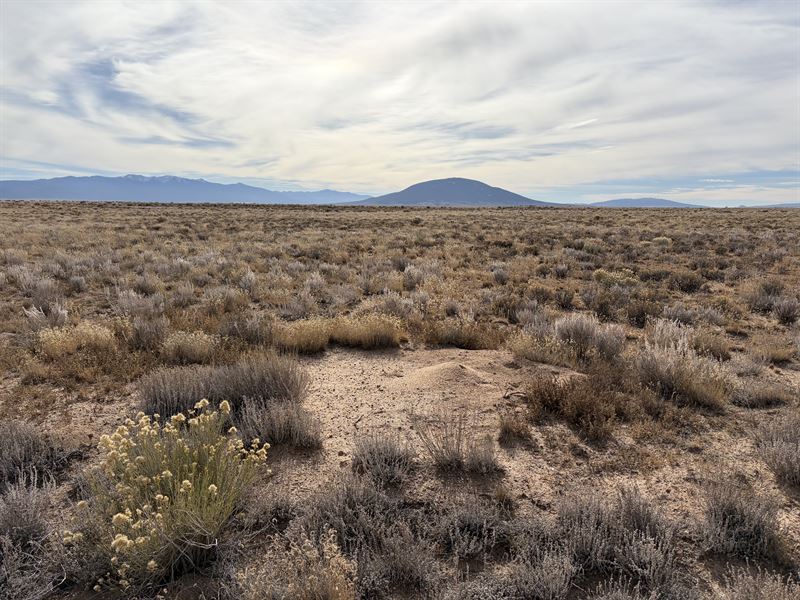 Multi Parcel Opportunity in CO : San Luis : Costilla County : Colorado