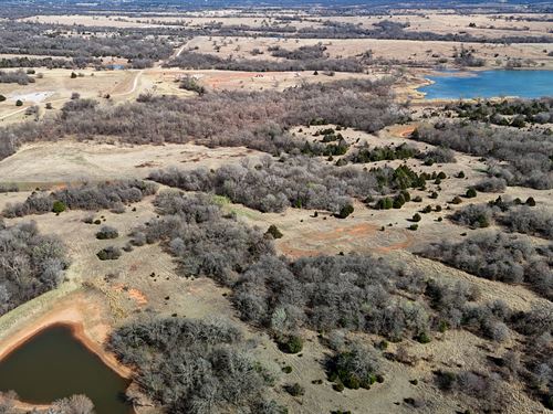 Oklahoma Hunting Land Auction : Dibble : McClain County : Oklahoma