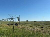 Delancey Ranch : Wheatland : Platte County : Wyoming