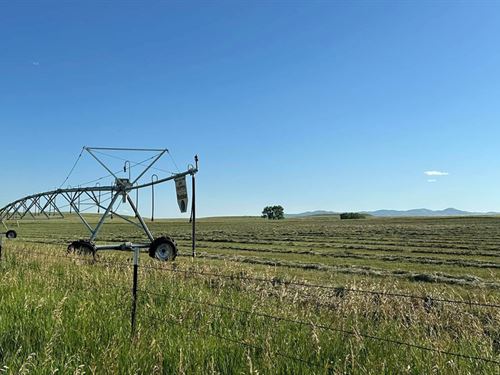 Delancey Ranch : Wheatland : Platte County : Wyoming