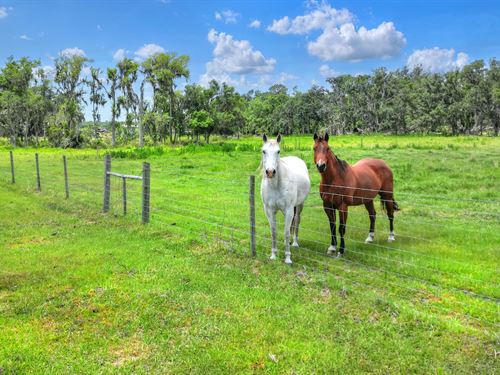 S CR 39 Acreage Homesites Lot 1 : Lithia : Hillsborough County : Florida