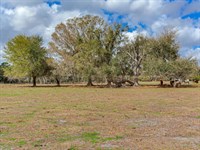 S CR 39 Acreage Homesites Lot 3 : Lithia : Hillsborough County : Florida