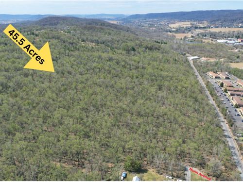 Absolute Auction 45.5 Acre Parcel : Washington : Warren County : New Jersey