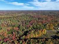 40 Acres in Oswego County, NY : Parish : Oswego County : New York