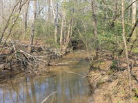 Build, Hunt & Pasture Potential : Cottondale : Tuscaloosa County : Alabama