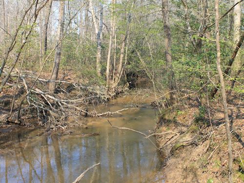 Build, Hunt & Pasture Potential : Cottondale : Tuscaloosa County : Alabama