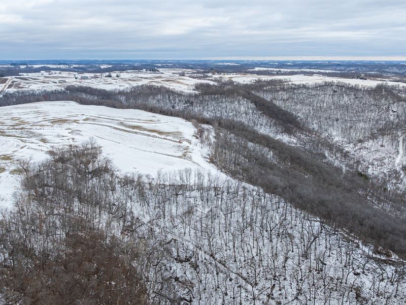 55 Acres Buffalo County : Alma : Buffalo County : Wisconsin