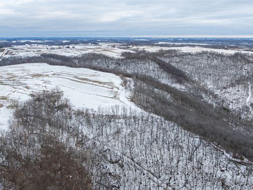 55 Acres Buffalo County : Alma : Buffalo County : Wisconsin