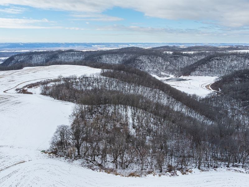 77 Acres Buffalo County : Alma : Buffalo County : Wisconsin