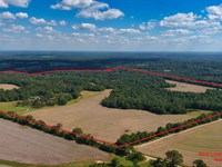300+/- Acre Estate in TN with Lake : Hickory Valley : Hardeman County : Tennessee
