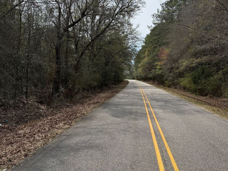 27.98 Acres Still Pond Rd : Florala : Covington County : Alabama