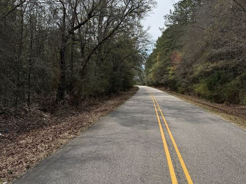 27.98 Acres Still Pond Rd : Florala : Covington County : Alabama