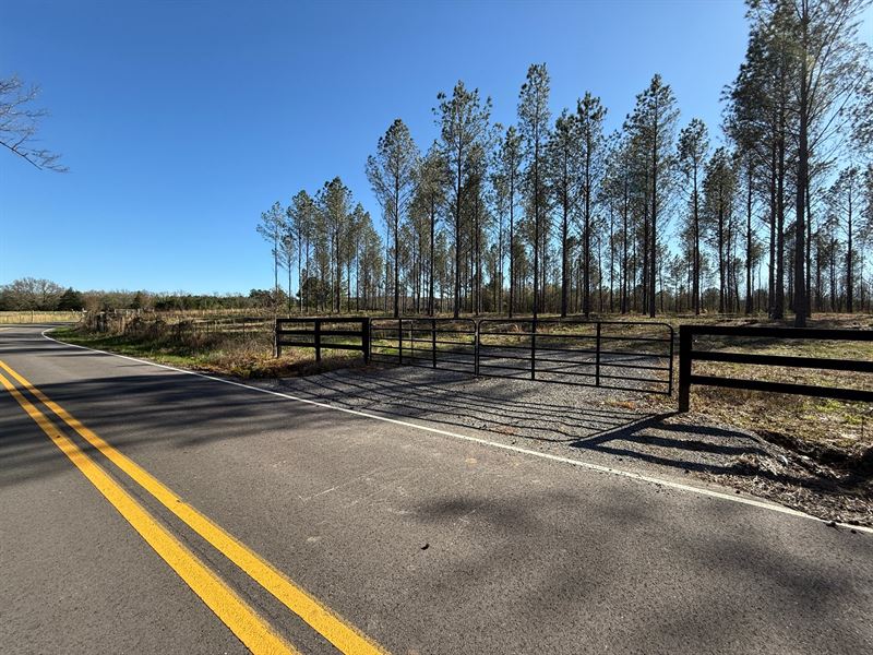 Evergreen Ridge Estates East : Falkville : Morgan County : Alabama