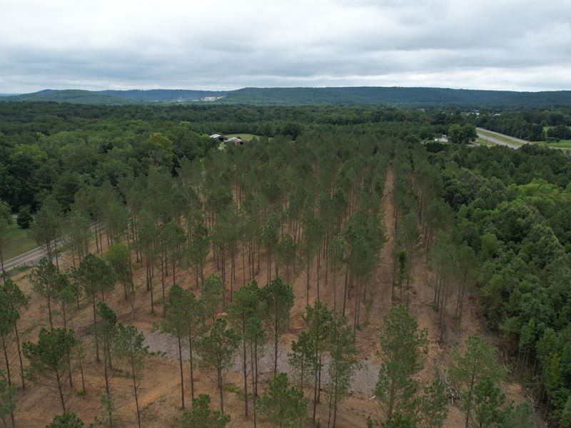 Evergreen Ridge Estates West : Falkville : Morgan County : Alabama