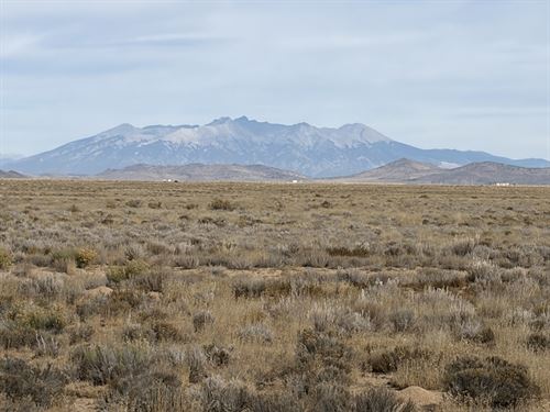Sand Dune Views and Starry Skies : San Luis : Costilla County : Colorado