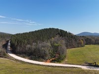 The Terrapin Creek Preserve : Piedmont : Cherokee County : Alabama