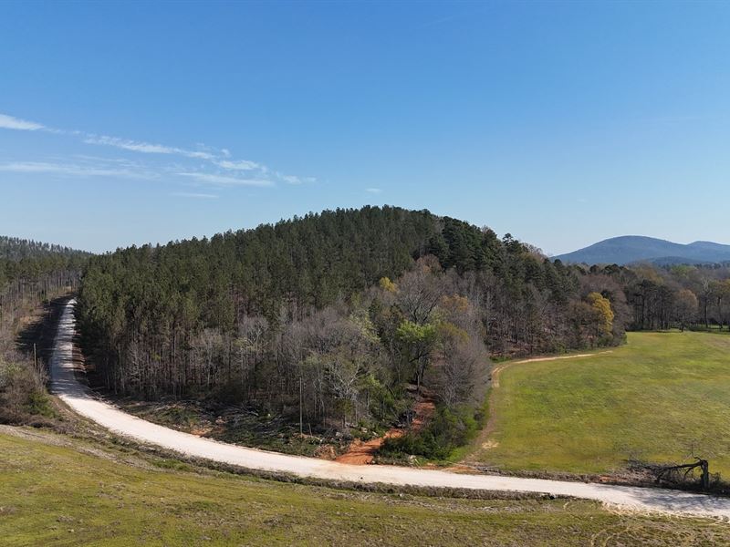 The Terrapin Creek Preserve : Piedmont : Cherokee County : Alabama