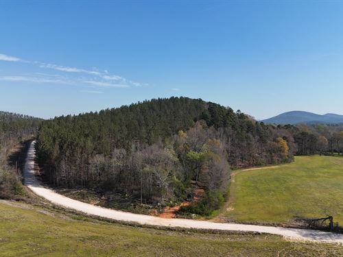 The Terrapin Creek Preserve : Piedmont : Cherokee County : Alabama