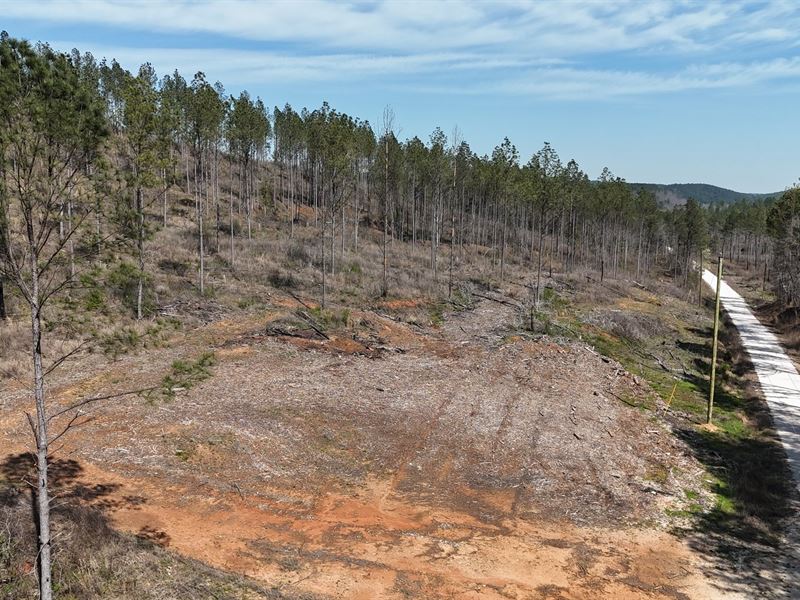 Gleneagles Tract 5 : Piedmont : Cherokee County : Alabama