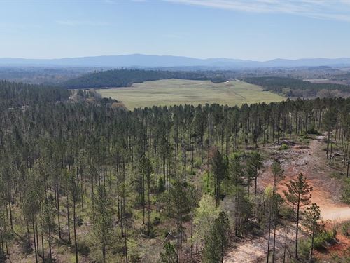 Gleneagles Tract 11 : Piedmont : Cherokee County : Alabama