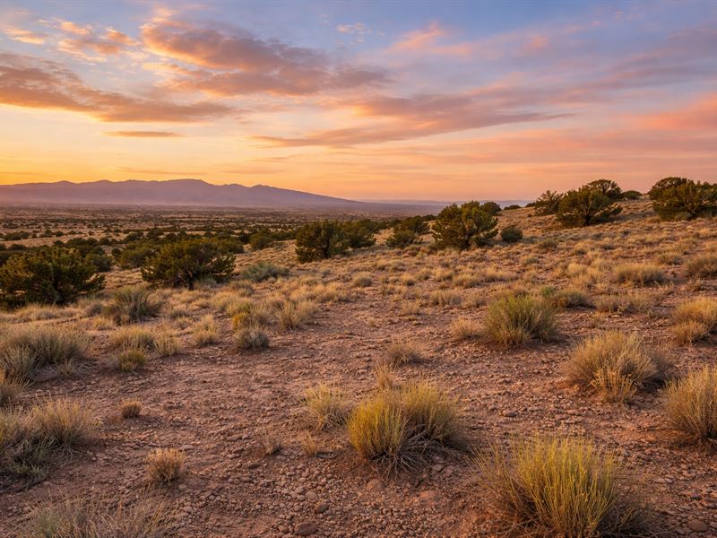 22 Acres with No Zoning in NM : San Antonio : Socorro County : New Mexico