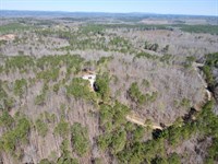 41 Acre Homestead Clay County : Cragford : Clay County : Alabama