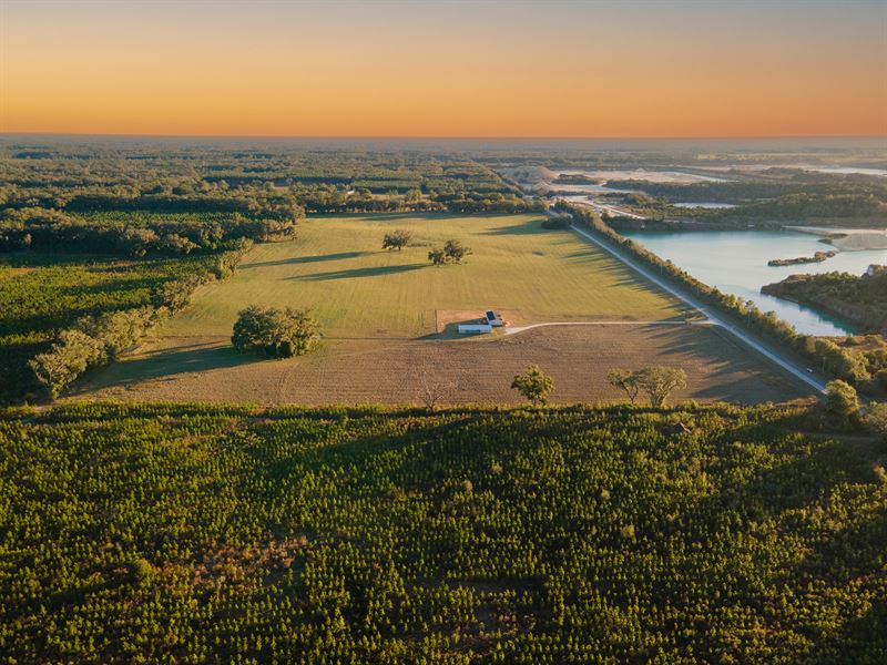 Beautiful 40 Acre Farm in Newberry : Newberry : Alachua County : Florida