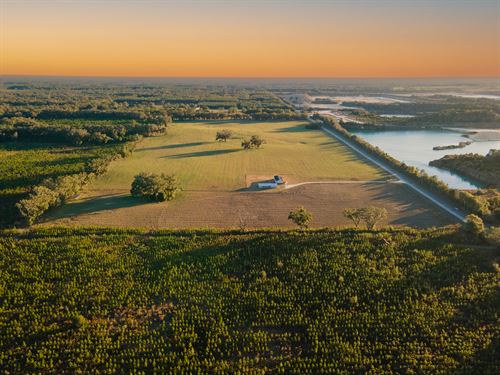 Beautiful 40 Acre Farm in Newberry : Newberry : Alachua County : Florida