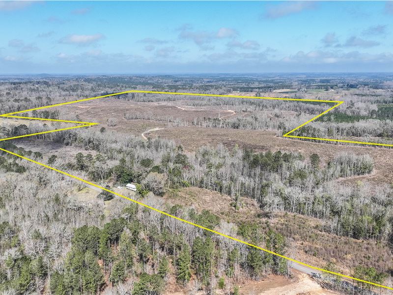 Brown Tract : Banks : Pike County : Alabama